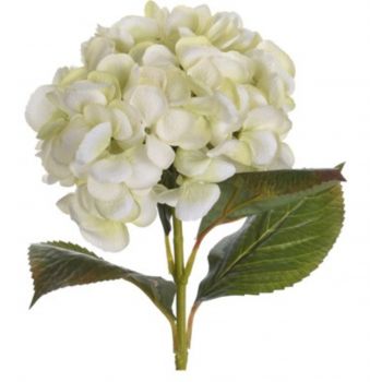Floare artificiala Hydrangea, H65 cm, polivinil, alb