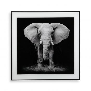 Tablou decorativ din sticla Elephant, Versa, 50x50 cm la reducere