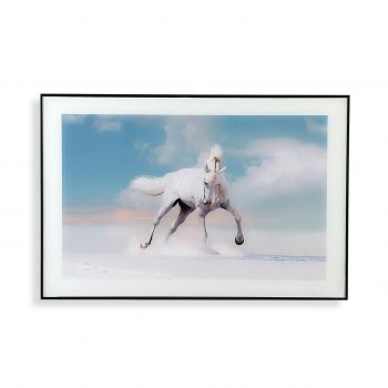Tablou decorativ Sky Horse, Versa, 40 x 60 cm, sticla/MDF