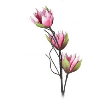 Floare artificiala Proteaceae, H98 cm, poliester, roz