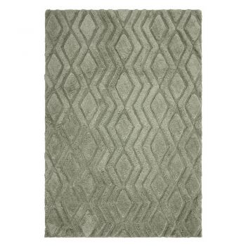 Covor verde 170x120 cm Harrison - Asiatic Carpets