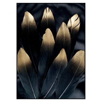 Tablou 30x40 cm Golden Feather – Malerifabrikken