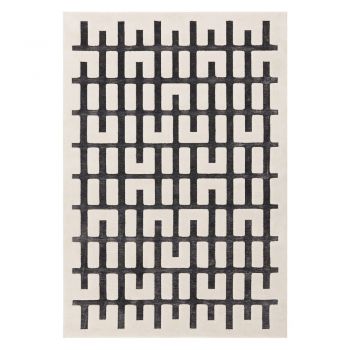 Covor gri-crem 200x290 cm Valley – Asiatic Carpets