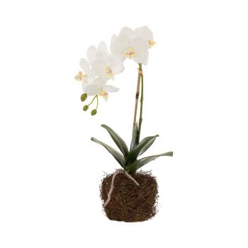 J-Line planta artificiala Orchid In Soil
