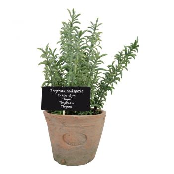 Plantă artificială (înălțime 21,5 cm) Thyme – Esschert Design