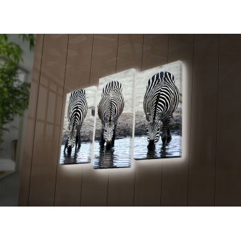 Tablou Canvas cu Led Zebra, Multicolor, 66 x 45 cm