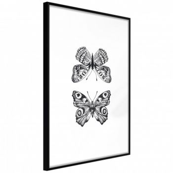 Poster - Butterfly Collection I, cu Ramă neagră, 20x30 cm