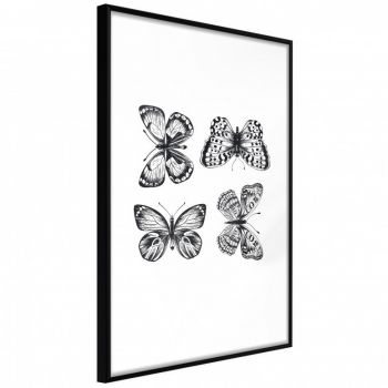 Poster - Butterfly Collection III, cu Ramă neagră, 20x30 cm la reducere