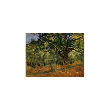 Reproducere pe pânză după Claude Monet - The Bodmer Oak, Fontainebleau Forest, 70 x 50 cm