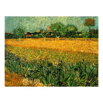 Reproducere pe pânză după Vincent van Gogh - View of arles with irises in the foreground, 40 x 30 cm