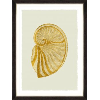 Tablou Framed Art Golden Seashell VI