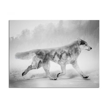 Tablou Styler Canvas Nordic Wolf, 75 x 100 cm