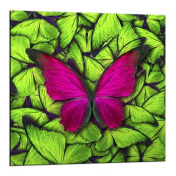 Tablou Styler Glasspik Green Butterfly, 20 x 20 cm