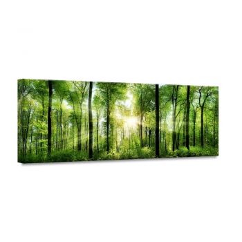 Tablou Styler Glasspik Nature Sunlight, 50 x 125 cm