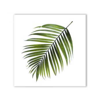 Tablou Styler Canvas Greenery Black Palm, 32 x 32 cm