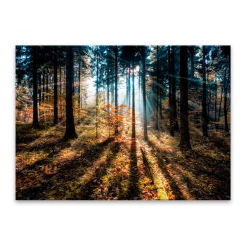 Tablou Styler Glasspik Autumn Sunset, 70 x 100 cm