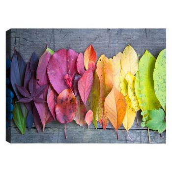Tablou Tablo Center Autumn Palette, 100 x 70 cm