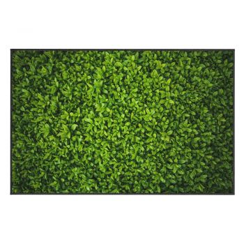 Covor Oyo home Ivy, 140 x 220 cm, verde