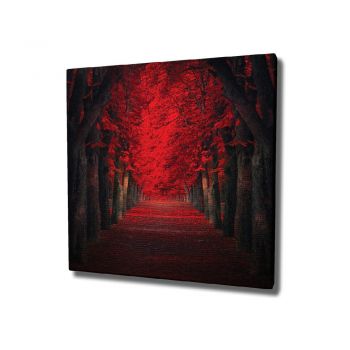Tablou pe pânză Red Trees, 45 x 45 cm