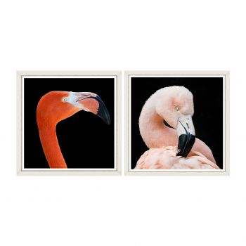 Tablou 2 piese Framed Art Flamingos