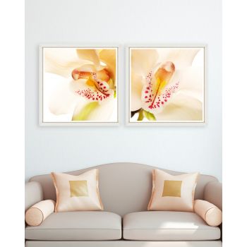 Tablou 2 piese Framed Art Orchid Close-up