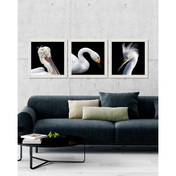 Tablou 3 piese Framed Art White Birds