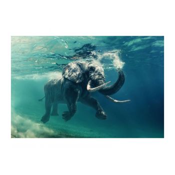 Tablou Sticla Underwater Adventure, 120 x 80 cm