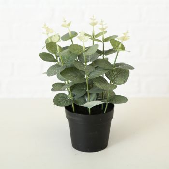 Planta artificiala in ghiveci Monstera Verde / Negru, Modele Asortate, H23 cm