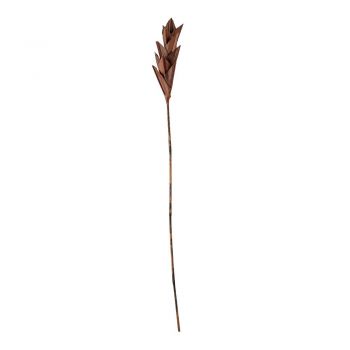 Decorațiune în formă de frunză de palmier Bloomingville Afina, înălțime 93 cm