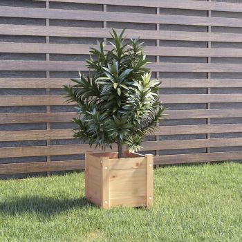 vidaXL Jardinieră de grădină, 31x31x31 cm, lemn masiv de pin