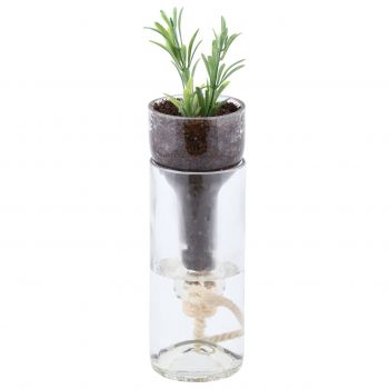 Dispozitiv irigator pentru plante, Esschert, 7.5 x 7.5 x 21 cm, sticla/bumbac/pluta
