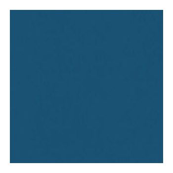 PVC sportiv Omnisports V120 albastru Night Blue