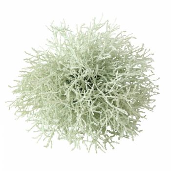 Planta artificiala pe Plastic Verde H20xD20cm Ball