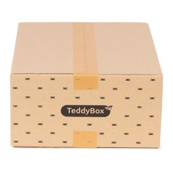 Set de 3 cutii de depozitare bej Compactor Teddy, 35 x 15 cm ieftina