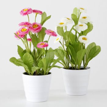 Set 2 plante artificiale din Plastic Multicolor Bellis D9xH30cm
