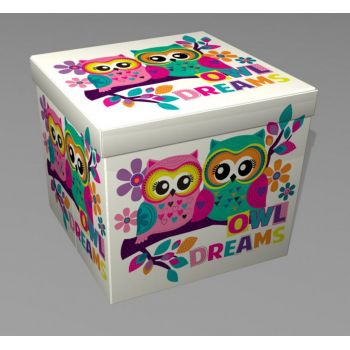 Taburet pliabil Owls, Heinner Home, 38x38x37.5 cm, PVC, multicolor ieftin