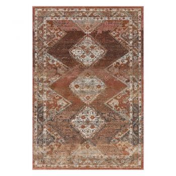 Covor roșu-maroniu 290x195 cm Zola - Asiatic Carpets