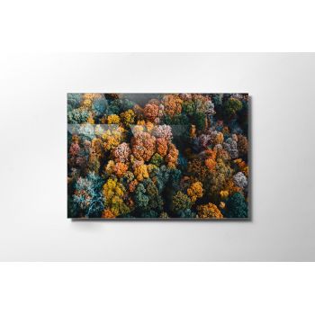 Tablou Sticla Colorful Trees 1159 Multicolor, 45 x 30 cm