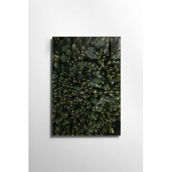 Tablou Sticla Dolan 1163 Verde, 30 x 45 cm