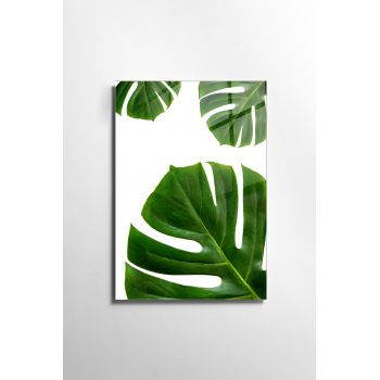 Tablou Sticla Lucca 1152 Verde / Alb, 30 x 45 cm