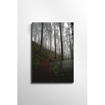 Tablou Sticla Munro 1147 Multicolor, 30 x 45 cm