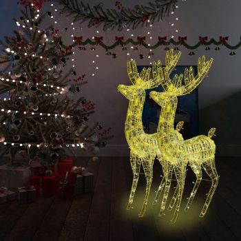 vidaXL Ren de Crăciun 250 LED-uri, 2 buc., alb cald, 180 cm, acril XXL