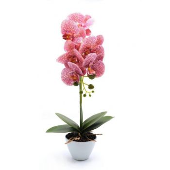 Orhidee artificiala siliconata cu aspect 100% natural, in bol de ceramica alb 45 cm