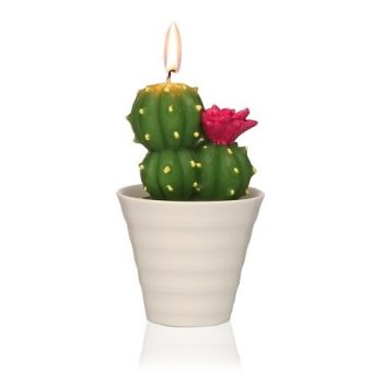Lumanare Cactus with Pot, Versa, Ø8.2x12.2 cm, parafina