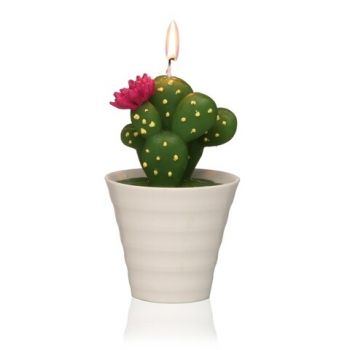 Lumanare Cactus with Pot, Versa, Ø8.2x13 cm, parafina