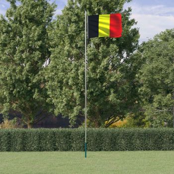 vidaXL Steag Belgia și stâlp din aluminiu, 6,23 m