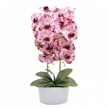 Orhidee artificiala siliconata cu aspect 100% natural, 2 tije, in bol de ceramica alb 50 cm