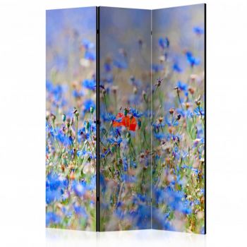 Paravan A Sky-Colored Meadow Cornflowers [Room Dividers] 135 cm x 172 cm