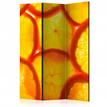 Paravan Orange Slices [Room Dividers] 135 cm x 172 cm