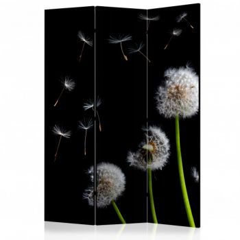 Paravan Dandelions In The Wind [Room Dividers] 135 cm x 172 cm